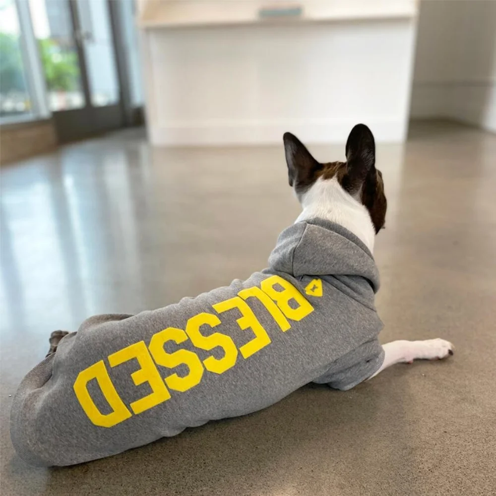 HOUSE DOGGE BLESSED D.O.G. HOODIE NEW